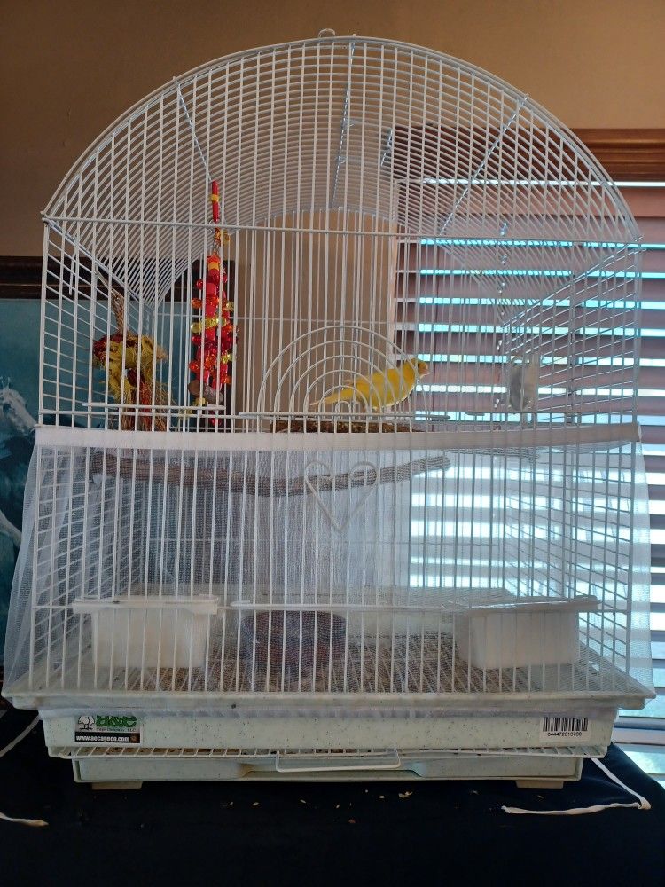  Bird cage