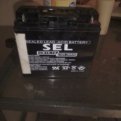 Sel Battery 