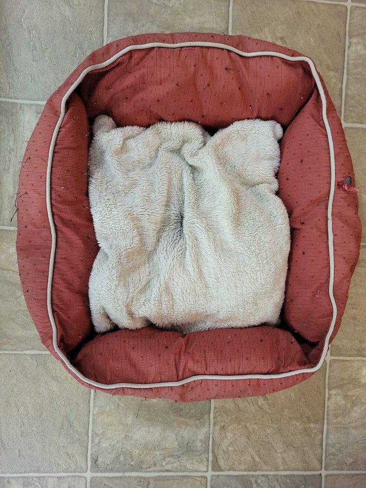 Pet Bed