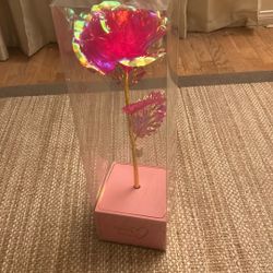 Rose (lights Up )