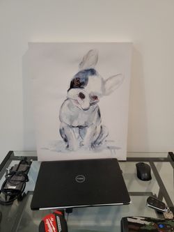 Dog Picture