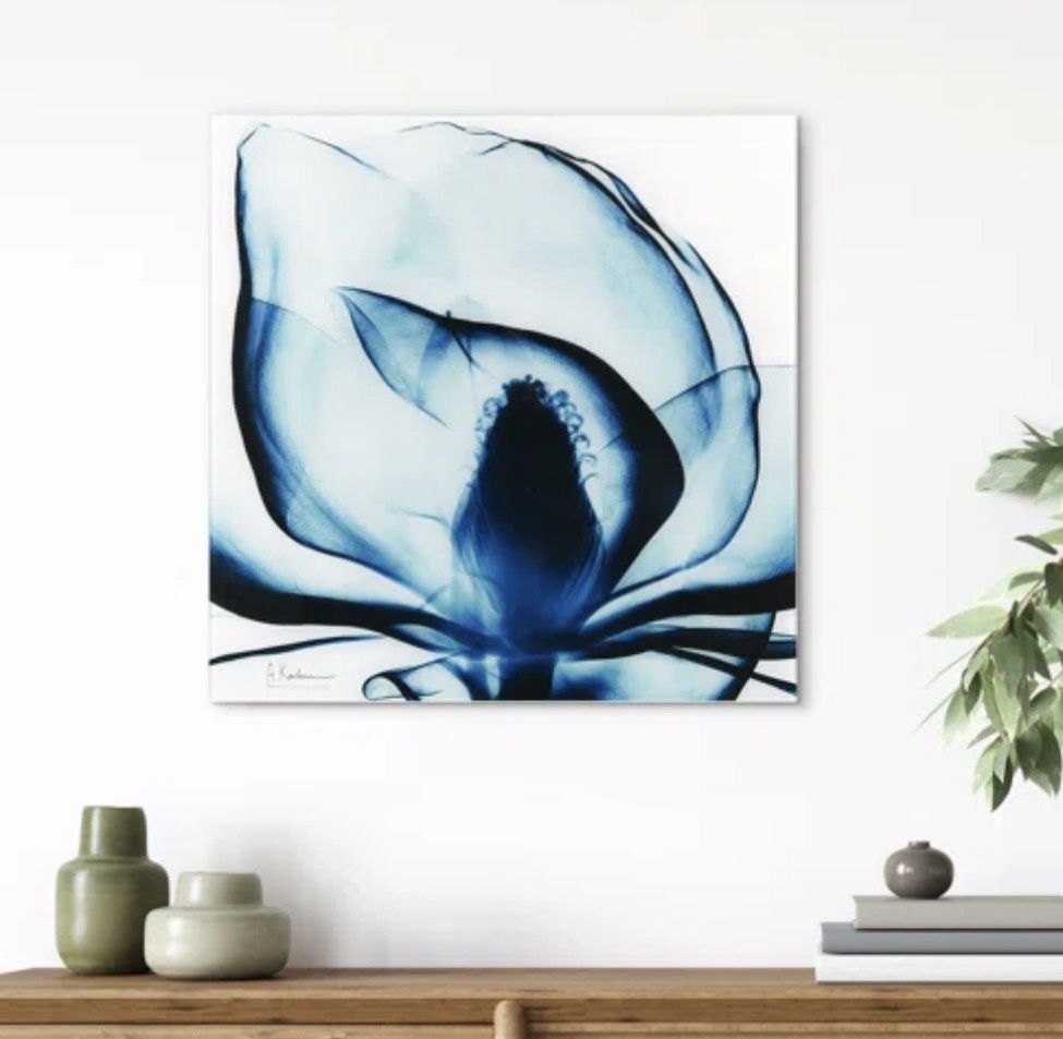 'Blue Magnolia X-ray' by Albert Koetsier - Photograph Print on Glass