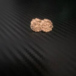 10k gold nugget 1g earrings 