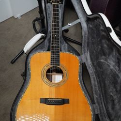 Enya TransAcoustic T-10SD Solid Spruce AcousticPlus® Guitars