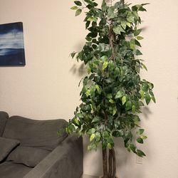 2 Large Artificial Floor Plants – Includes Decorative Baskets