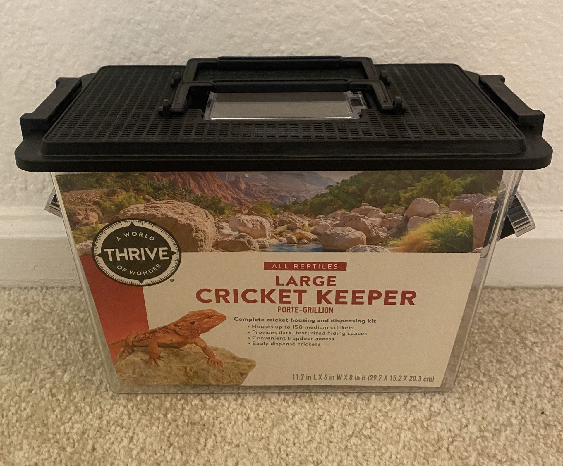 large cricket keeper