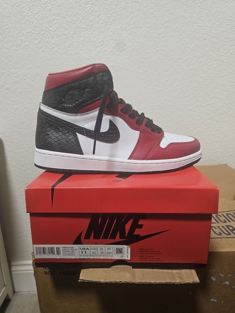Jordan's 1s