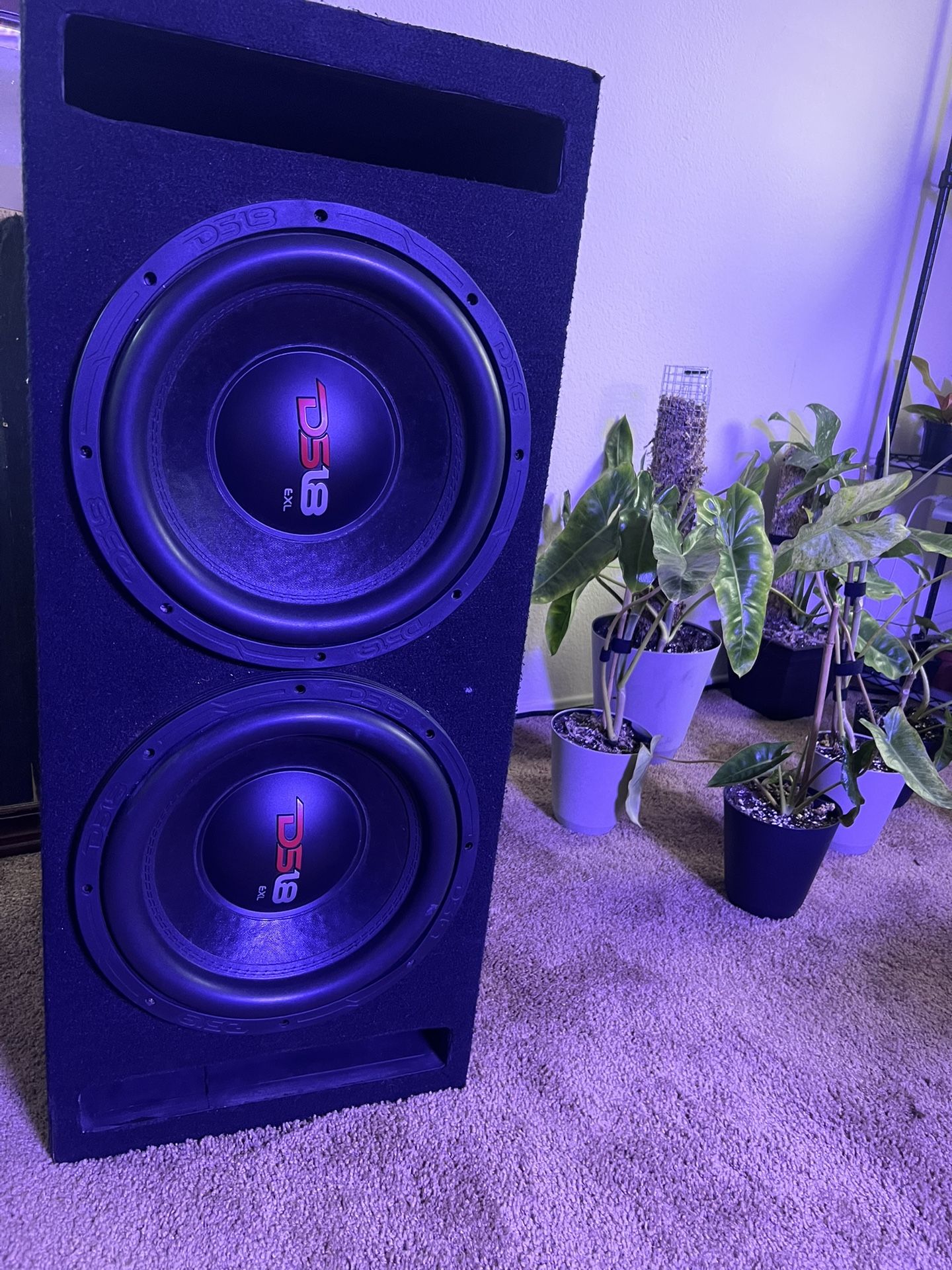 Ds18 Subwoofers 12.4d