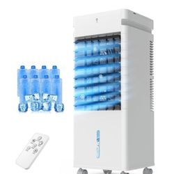Personal swamp cooler with ice packs New