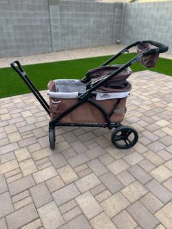 2 in 1 stroller wagon