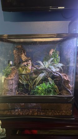 Zoomed 18x18x18 terrarium