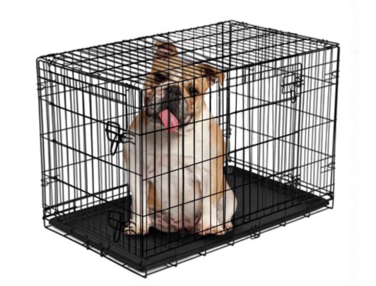 Vibrant Life Double-Door Folding Wire Dog Crate with Divider, 36"L