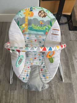 Baby Bouncer