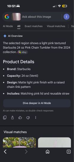Starbucks 24 oz Pink Chain Tumbler