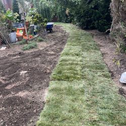 Fresh Sod Cut Every Morning 