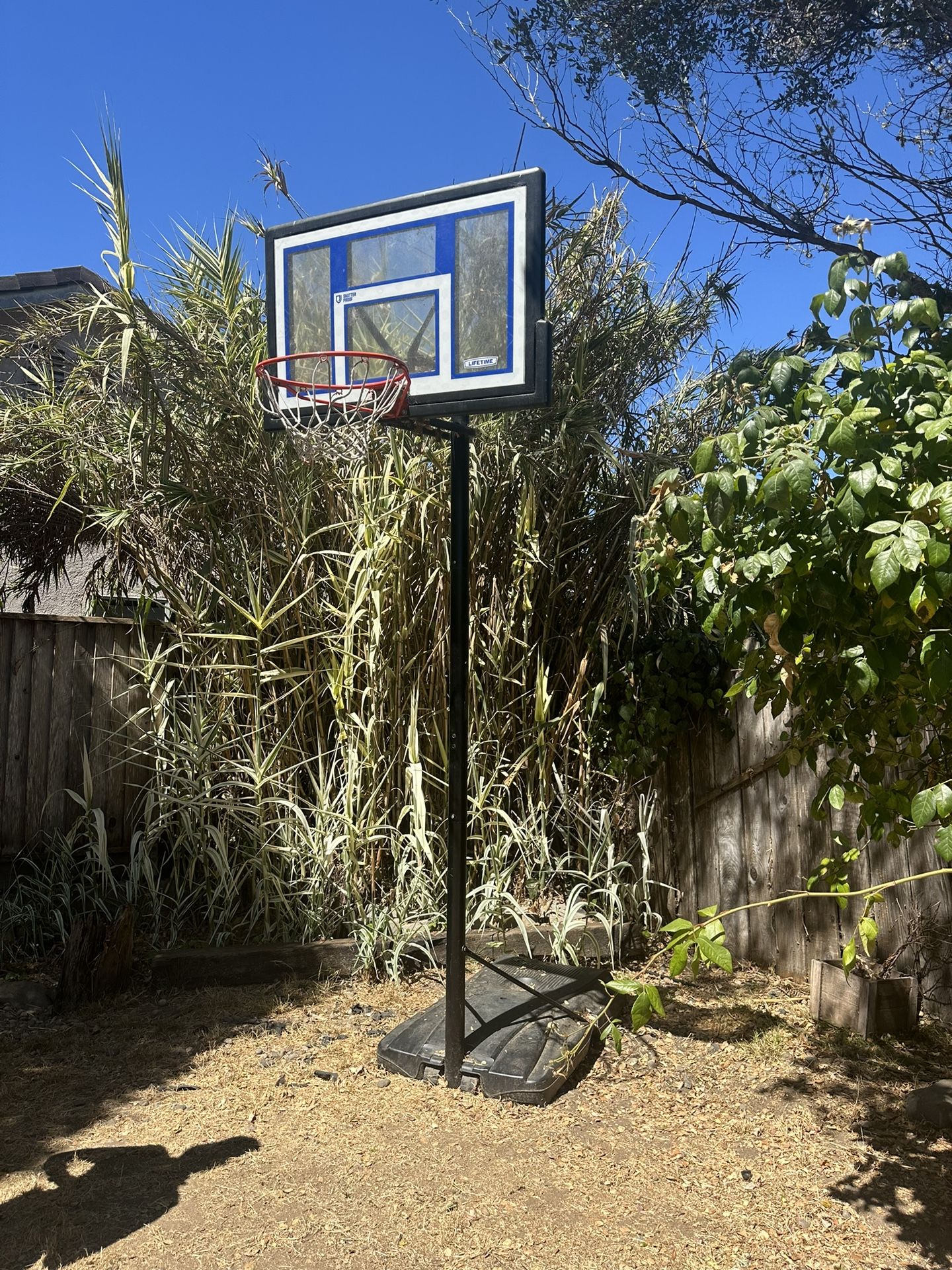 Basketball Hoop