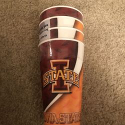 Brand new✨ Iowa State 3D dishwasher safe cup!!