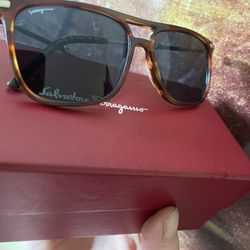 Farragamo Sunglasses