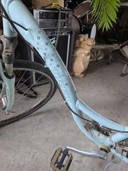 Women's trek bike