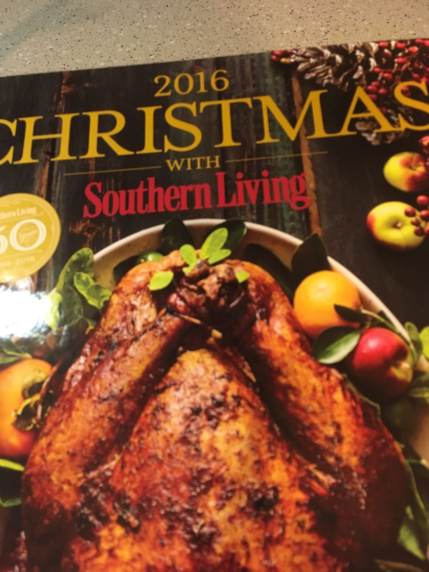 Christmas cook book new