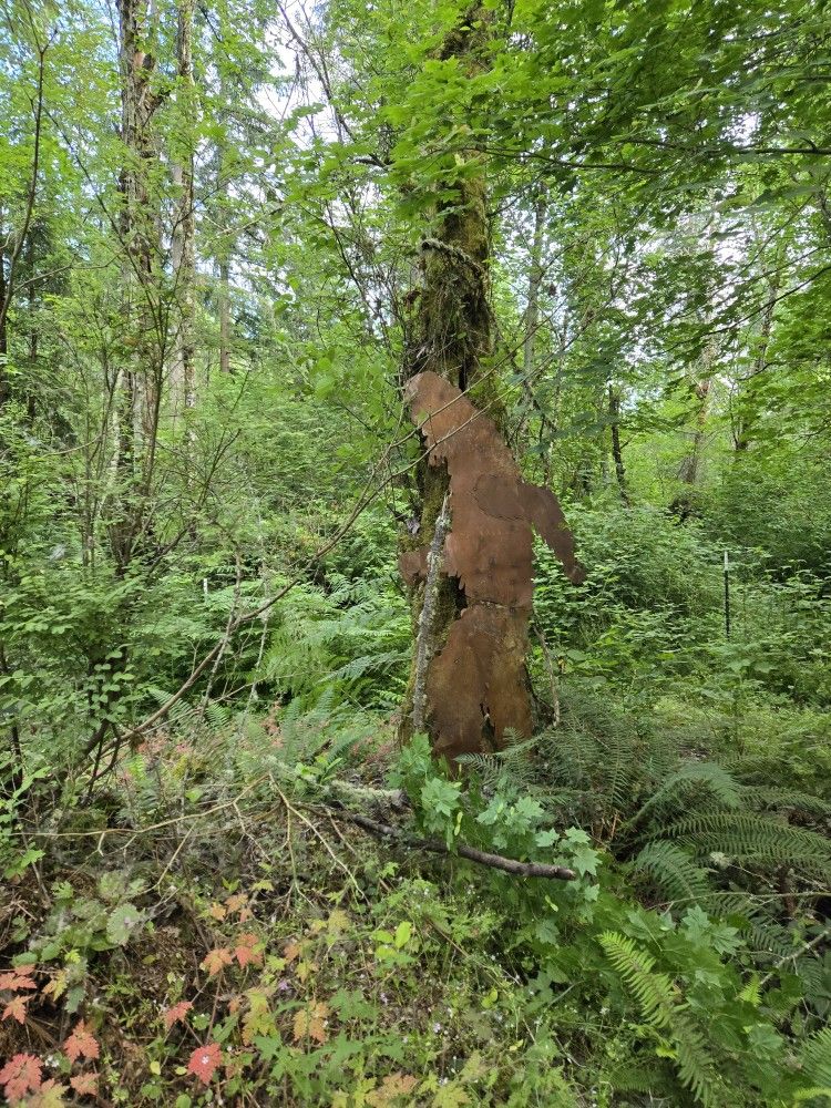Bigfoot