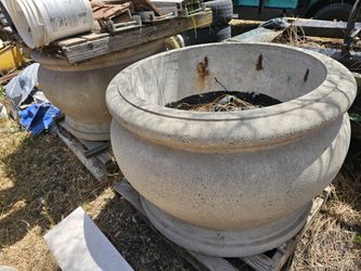 Large Concrete Planters