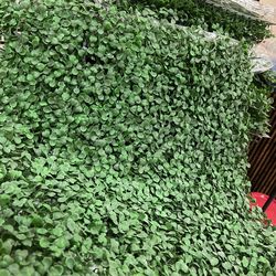 Artificial Yvy Grass