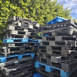 Free Plastic Pallets 