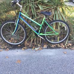 Road Master Bicycle 
