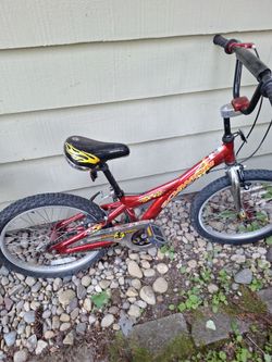 20 inch schwinn  bike