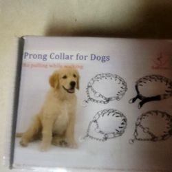 Dog Collar 