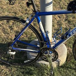 Trek Carbon Race Road Bike