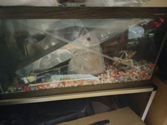 Fish tank