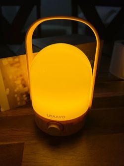 Portable night/desk light - 2 colors