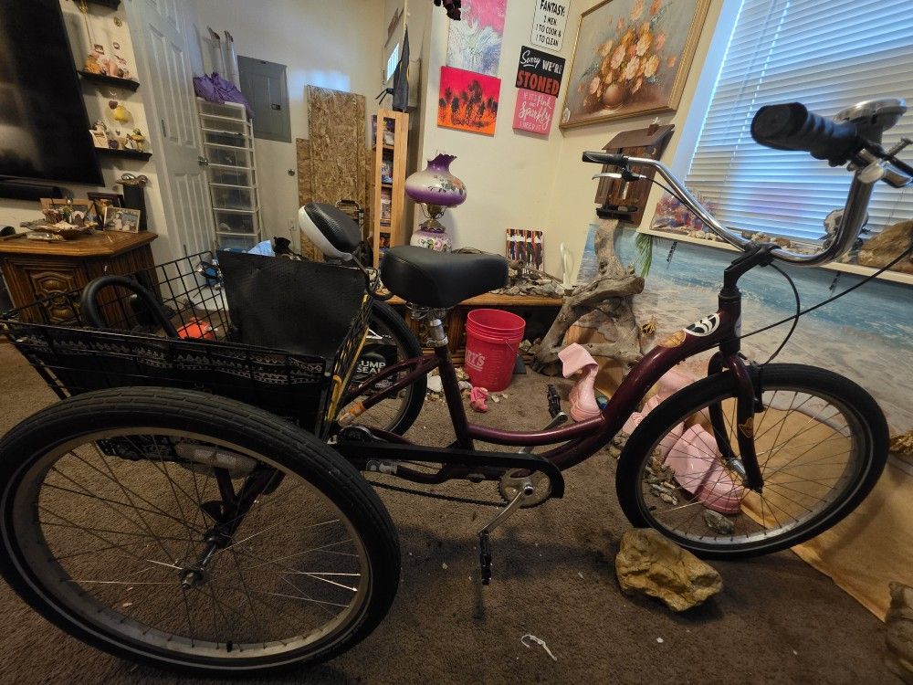 Schwinn Meridian 26" Specialty Tricycle Beach Cruiser
