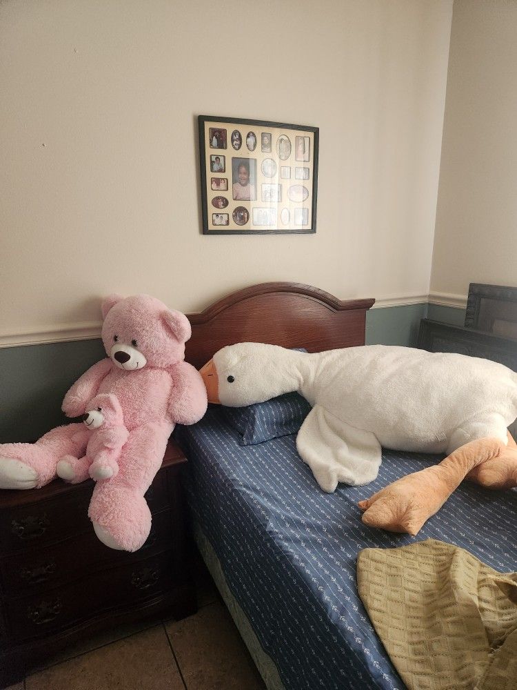Giant Sized Plushies