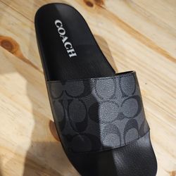 Coach slides