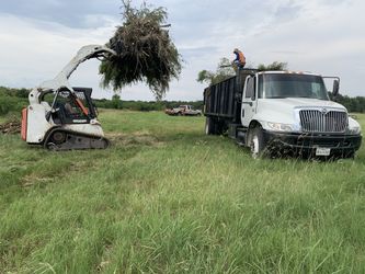 Stump Grinder And More