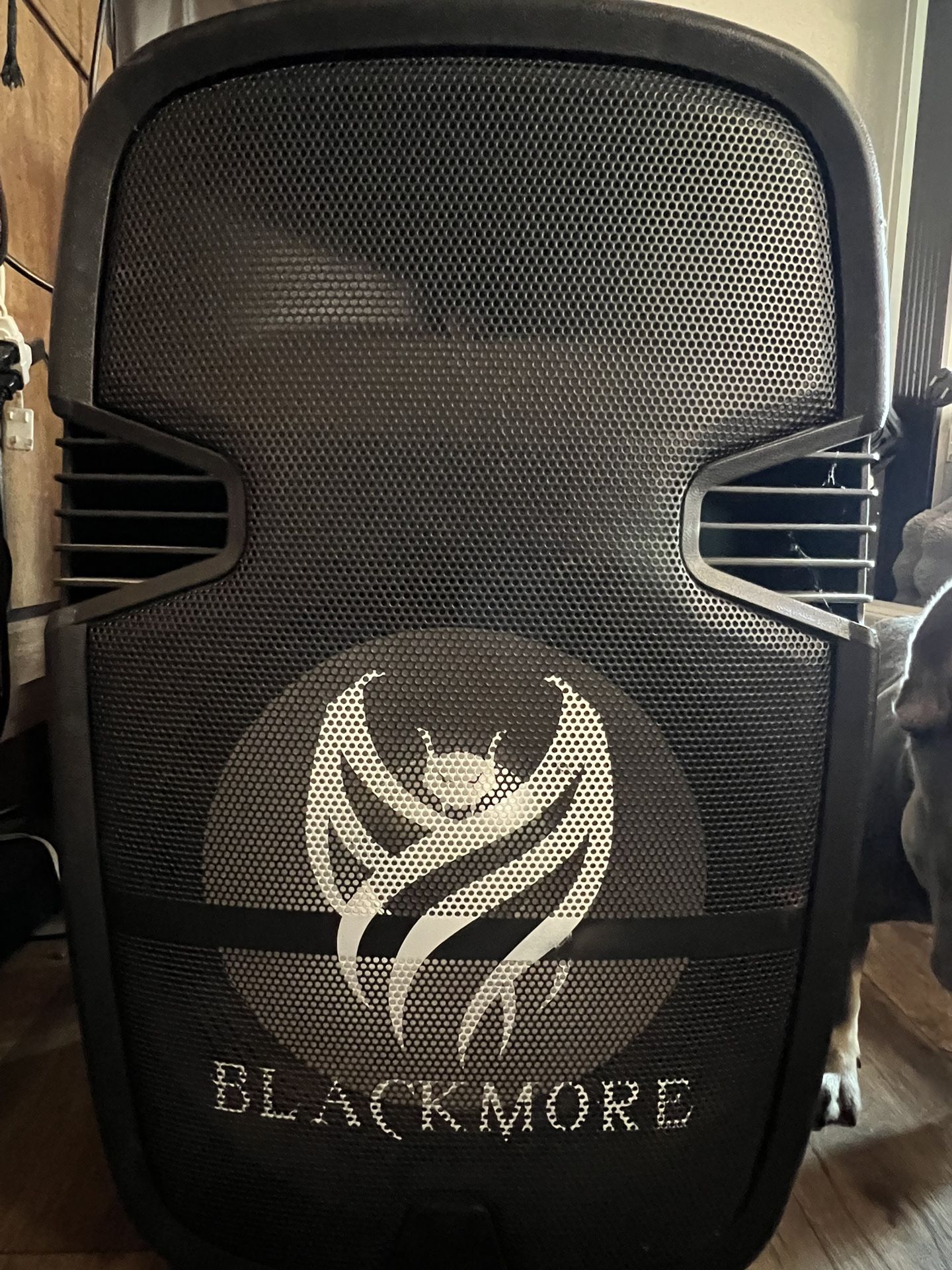 Blackmore Speaker