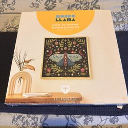 Mondo Llama Paint By Numbers Framed Canvas
