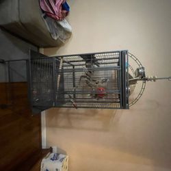 Tall Bird Cage