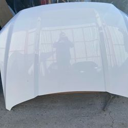 2015-2020 ford f150 hood$