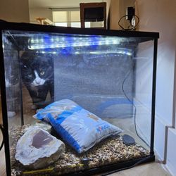 ~5 Gallon Fish Tank