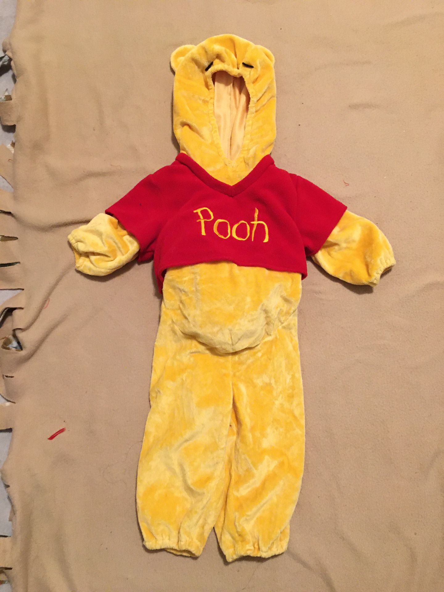Winnie the Pooh costume