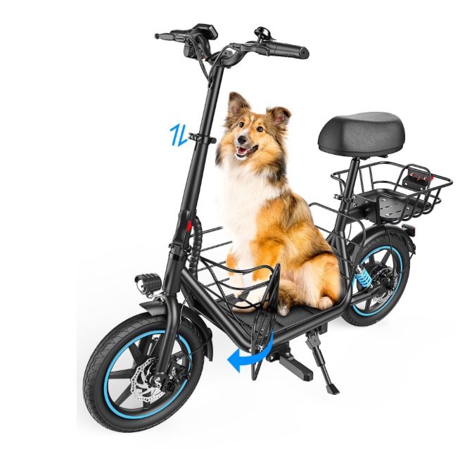 Electric Scooter 