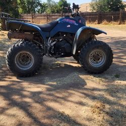 1995 Kawasaki Lakota 300 2wd 