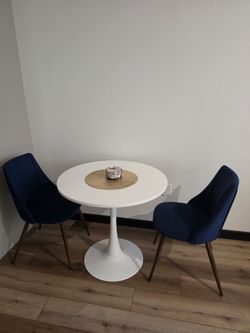Benbrook Upholstered Kitchen Dining Side Chairs with Metal Legs (Set of 2)