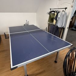 Ping Pong Table