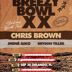Chris Brown Concert