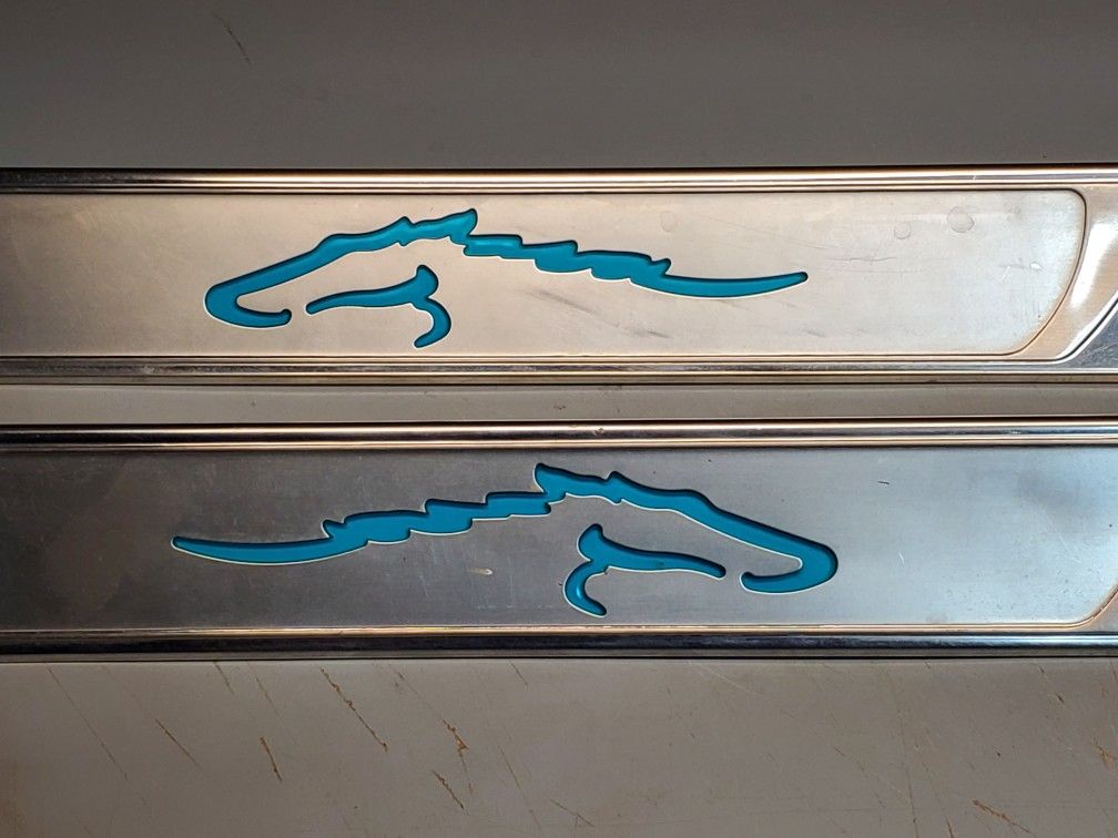 1965 _ 1968 Mustang Stainless Steel Lighted Sill Plates